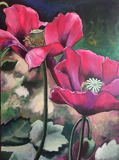 Poppies in bloom